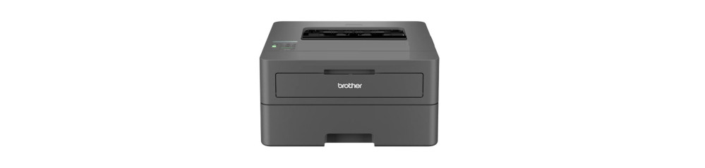 Brother HL-L2405W