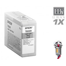 Genuine Epson T850900 UltraChrome HD Light Light Black Inkjet Cartridge